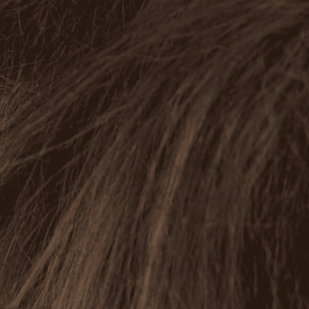 Prodotti Idratanti per Capelli Secchi